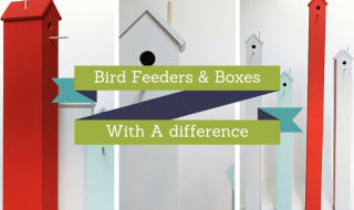 Bird Feeders & Boxes With A difference