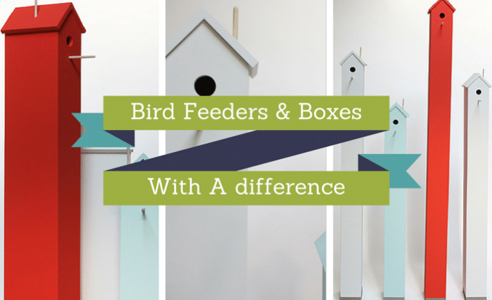 Bird Feeders & Boxes With A difference