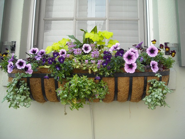 4 Ways To Add Curb Appeal To Your Home - Window Box Flowers