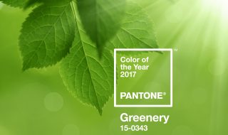 Pantone Color of the Year 2017 - Greenery