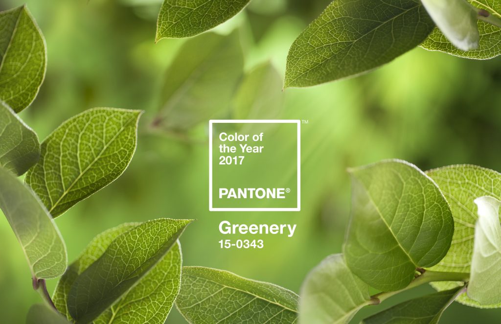 Pantone Color of the Year 2017 - Greenery