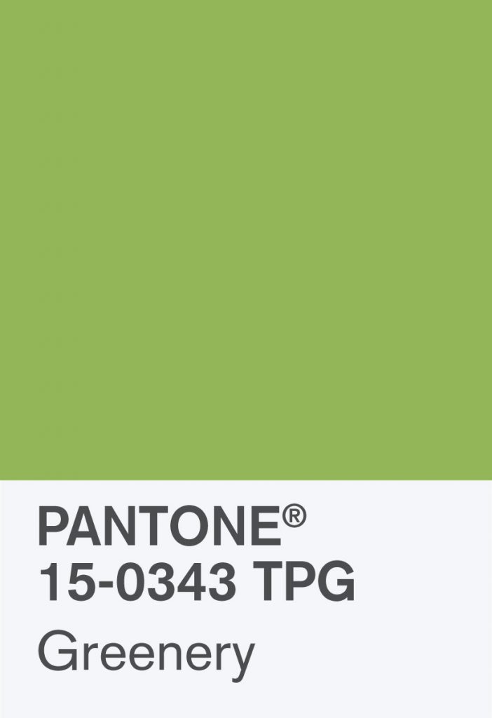 Pantone Greenery Paint Chip