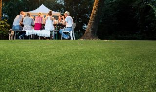 Should You Fake The Grass?