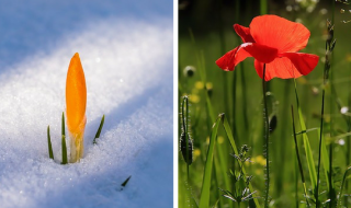 How Does Your Garden Transform From Winter To Summer