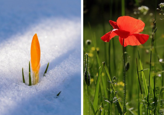 How Does Your Garden Transform From Winter To Summer