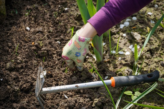 Why You Should Grow Your Own - Gardening