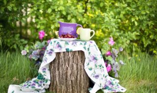 Low Maintenance Garden Ideas That Will Make Your Garden Stand Out