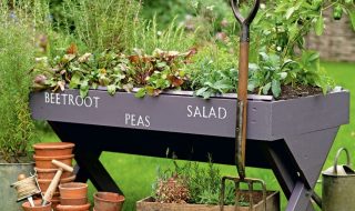 5 Cost-Effective Way To Improve Your Garden - Mini Vegetable Patch - Image Via IdealHome.co.uk - Image Credit Tim Young