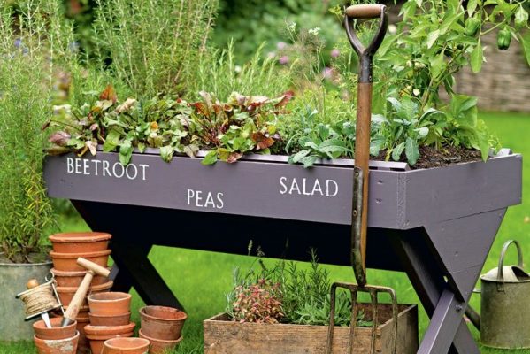 5 Cost-Effective Way To Improve Your Garden - Mini Vegetable Patch - Image Via IdealHome.co.uk - Image Credit Tim Young