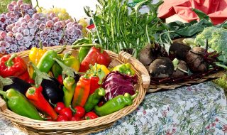Vegetable Calendar