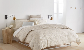 Trend Watch: Cream With A Hint Of Darkness - Image Via Debenhams,com - DKNY 'Motion' Duvet Cover