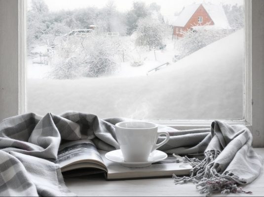 Winter Snow Cosy Warm Drink Blanket