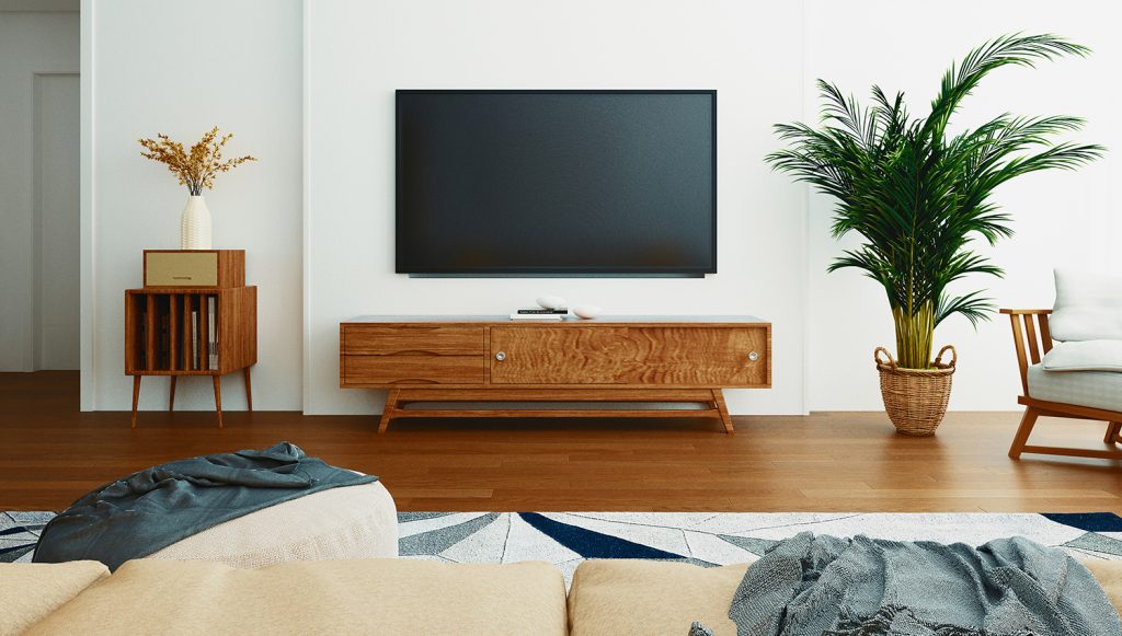 Living room with sofa and TV