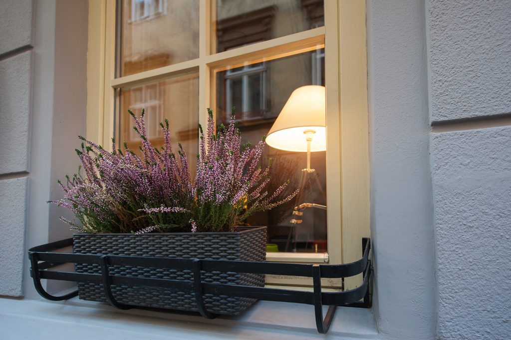 Painted Sash Window With Heather Filled Planter