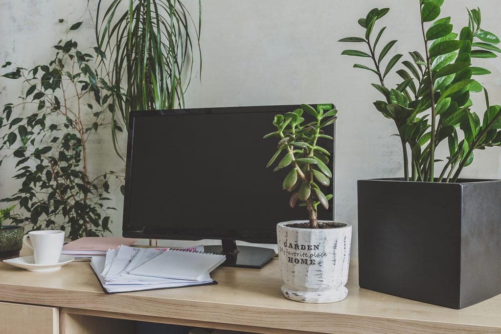 Home office desk with monitor and many plants