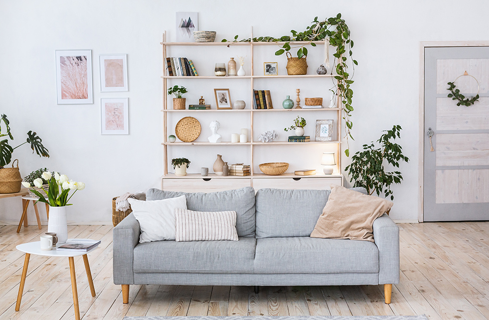 Cosy lounge, grey sofa and plants