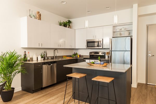 Grey kitchen with vinyl flooring