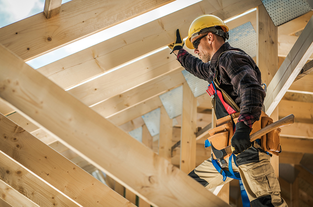 Carpenter, wooden roof contractor