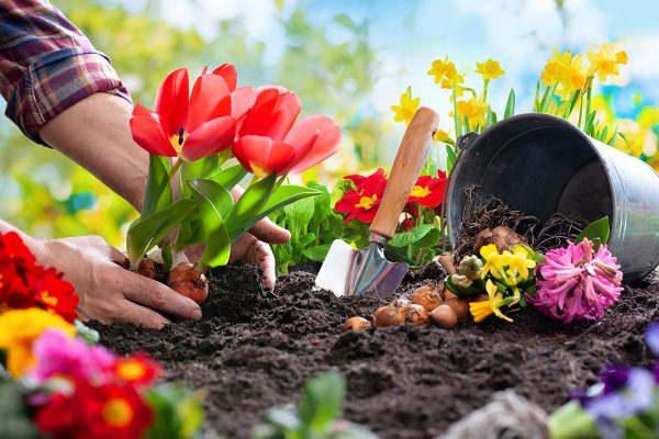 Preparing Your Garden For Spring/summer