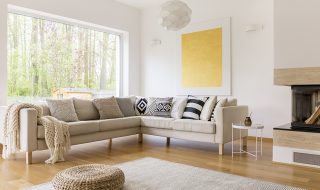 Lounge with light furniture and walls. Lounge with large glass window with woodland view