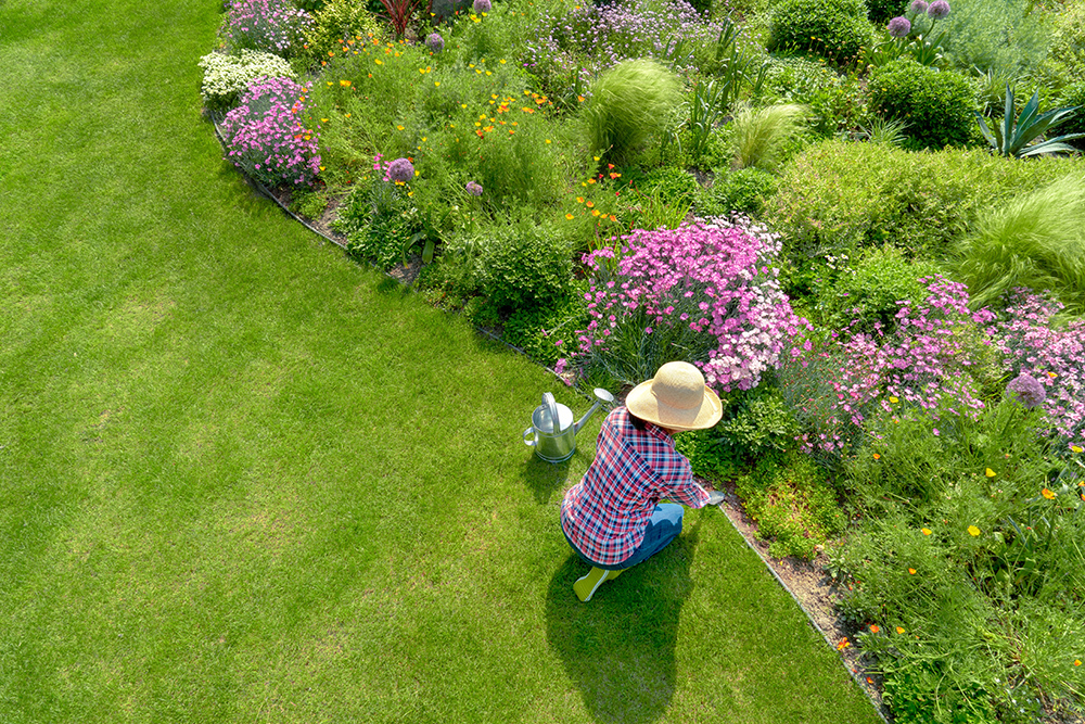 Women gardening with straw hat on. Neatly cut grass and colourful flower beds