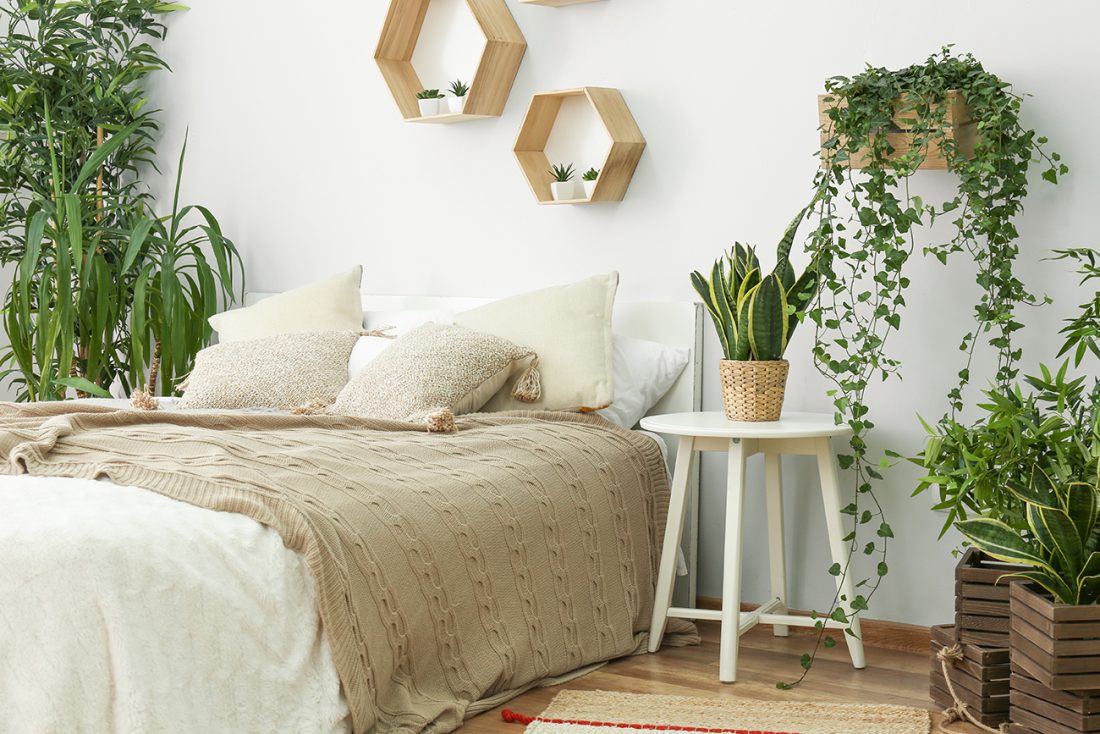 Cream bedding and throw in natural stylish bedroom with green plants